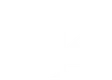 Ringo Knetsch